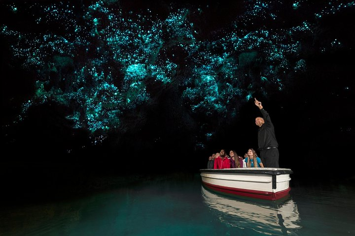 Experience the stunning glow of Waitomo’s glow worms while gliding through serene waters surrounded by an extraordinary natural spectacle. Perfect for those who appreciate intimate comfortable travel.